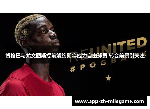 博格巴与尤文图斯提前解约即将成为自由球员 转会前景引关注